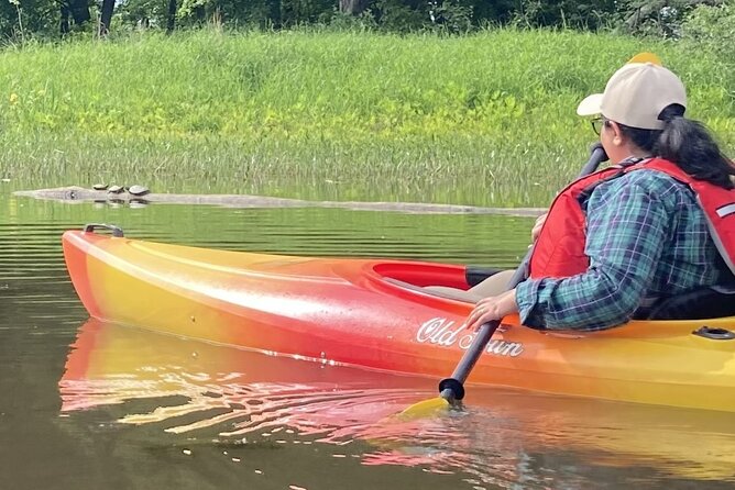 Ottawa: Ecological Reserve Kayak Tour with Turtle Sightings - Finding turtles without disturbing them