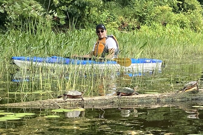Ottawa: Ecological Reserve Kayak Tour with Turtle Sightings - The middle stretch: calm paddling and local stories