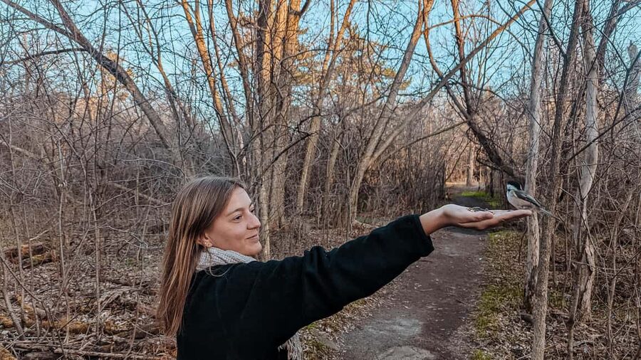 Ottawa: Guided Nature Walk & Wildlife Tour with Hotel Pickup - A small wildlife encounter in the middle of an Ottawa visit