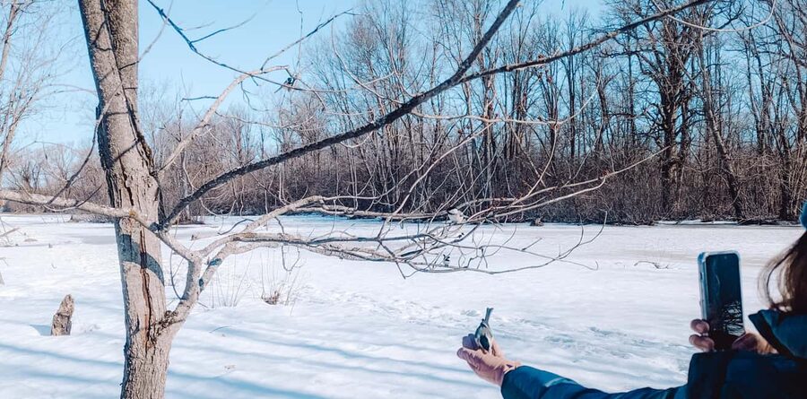 Ottawa: Guided Nature Walk & Wildlife Tour with Hotel Pickup - From your hotel to a quiet nature spot