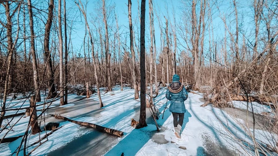 Ottawa: Guided Nature Walk & Wildlife Tour with Hotel Pickup - How $43 per person compares in value