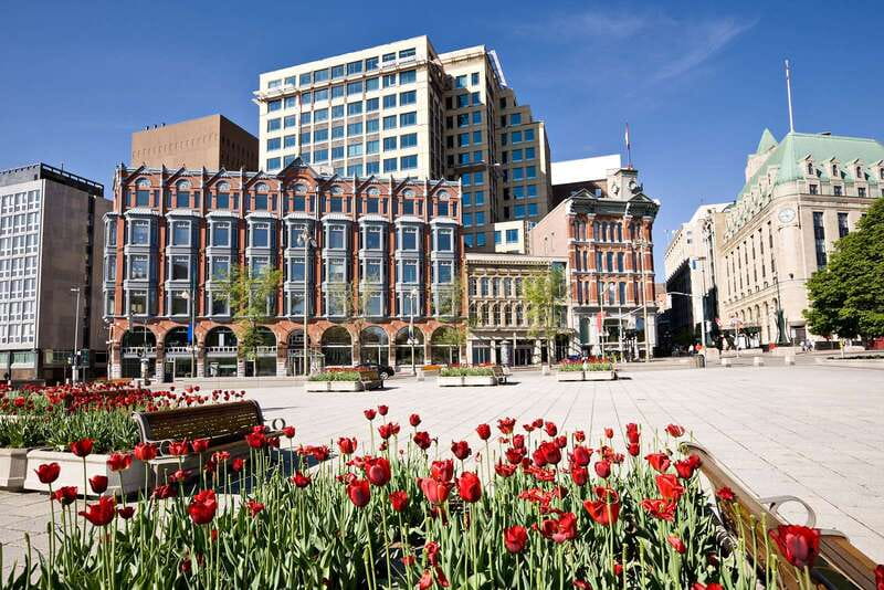 Ottawa: Hop-On Hop-Off Guided City Tour Pass - How to use a one-day pass well