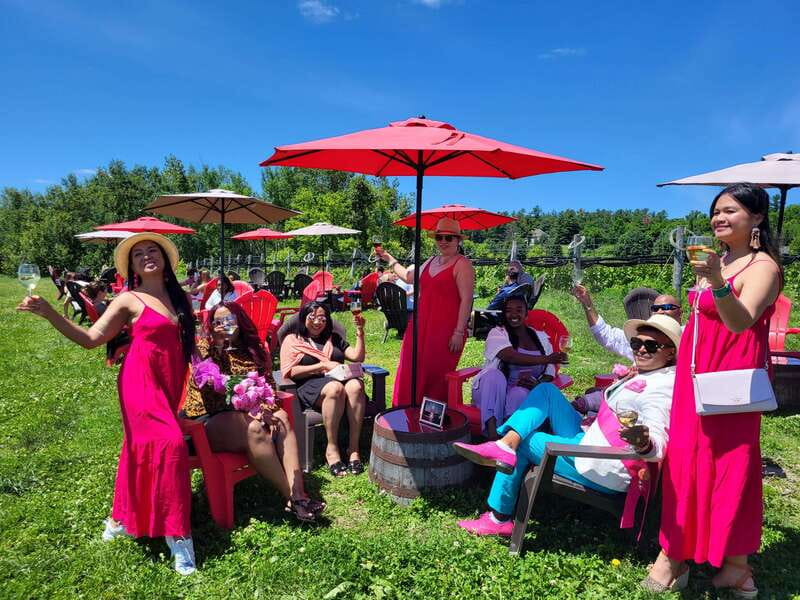 Ottawa: Local Wine and Cider Tour - Buyers + Cellars, an urban opening with charcuterie