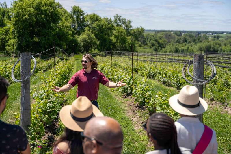 Ottawa: Local Wine and Cider Tour - KIN Vineyards and the work behind the bottle