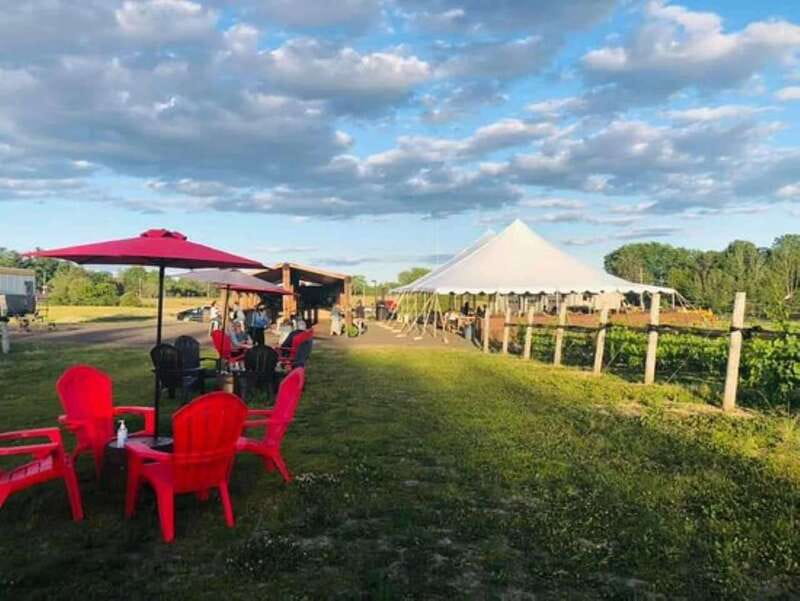 Ottawa: Local Wine and Cider Tour - Farm Gate Cider and Orchard, the apple-focused finale