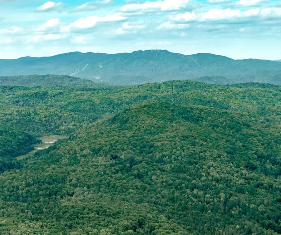 Ottawa: Panoramic helicopter flight (Gatineau Park + downtown) - Should you book the Ottawa helicopter flight?