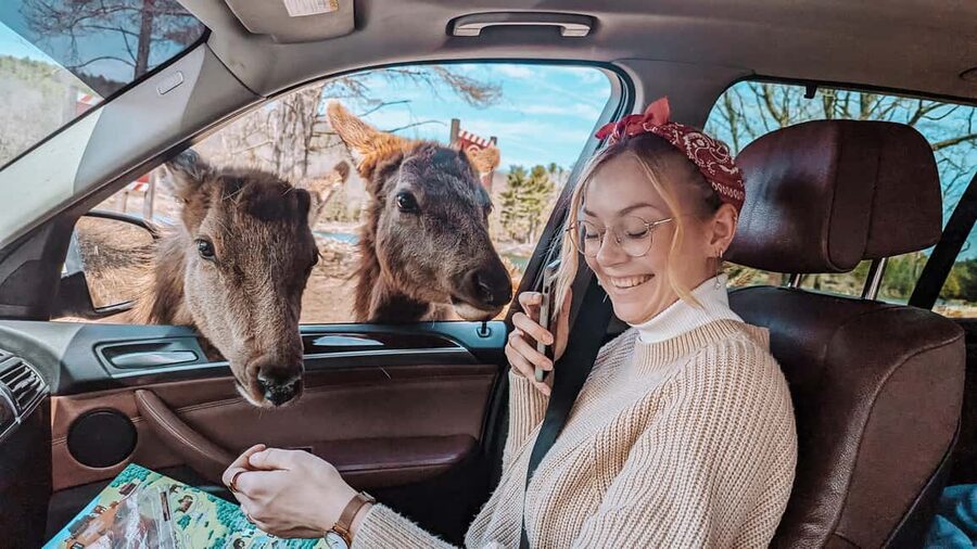 Ottawa: Private Parc Omega Wildlife Safari – Winter Magic - Booking details worth checking before you go