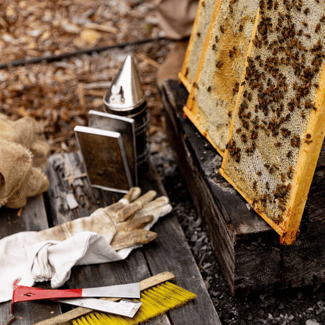 Paradise Valley: Bee Adventure Tour! - Key points to know before you book