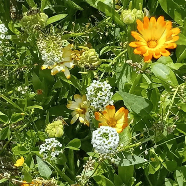 Paradise Valley: Bee Adventure Tour! - Starting at the hives