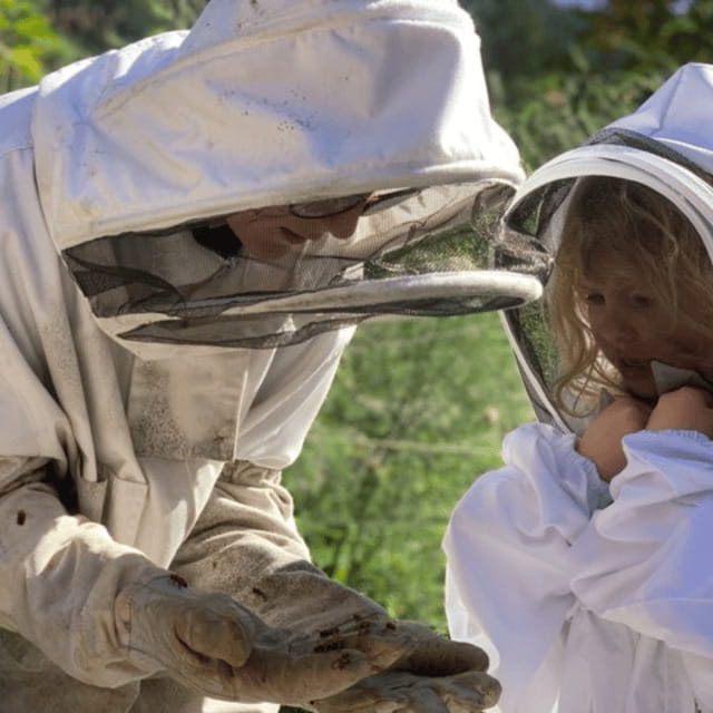 Paradise Valley: Bee Adventure Tour! - Arriving at Bee Wild Paradise Valley