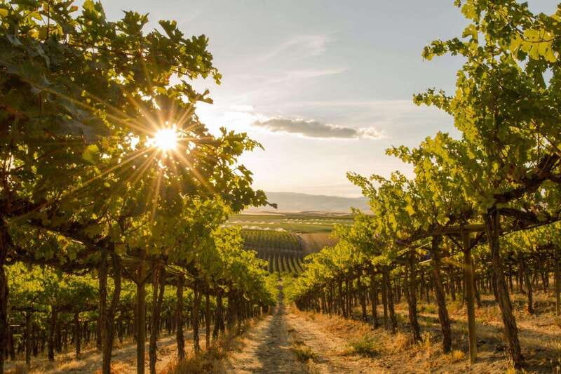 Penticton: Naramata Bench Full Day Guided Wine Tour - Ruby Blues Winery starts the tasting day