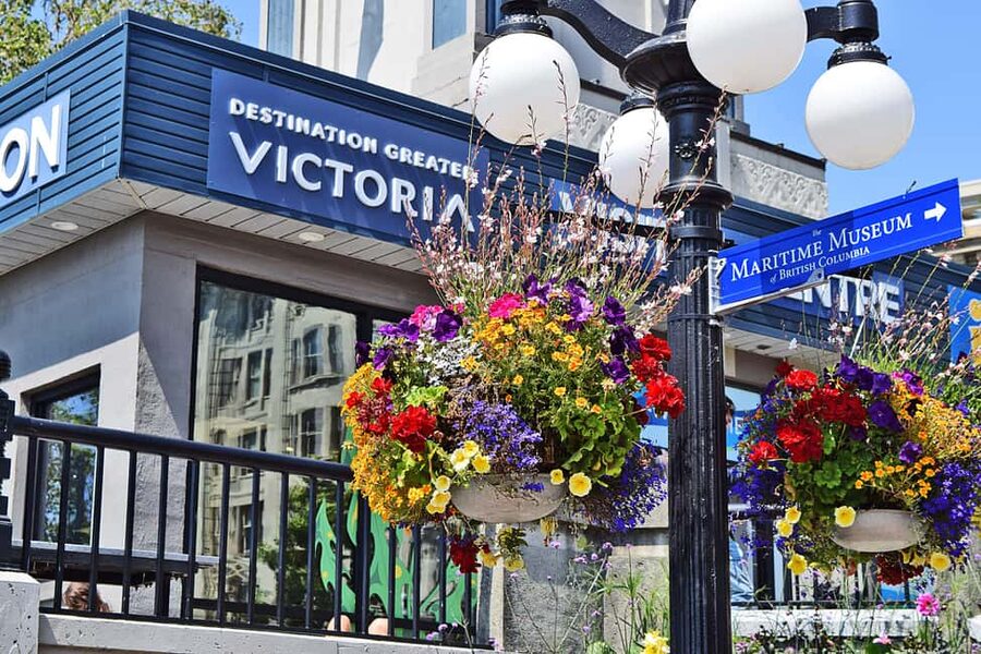 Pickle Pub Crawl: Ferry Rides and Appetizers - The First Water Taxi: Victoria From the Harbour