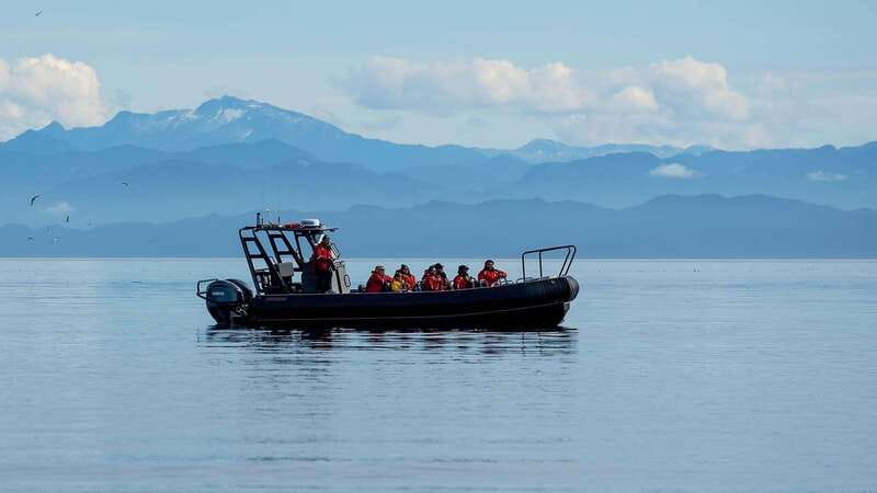 Port Hardy: Sea Otter and Whale Watching - Hearing whales through the hydrophone