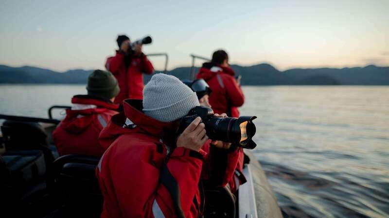 Port Hardy: Sea Otter and Whale Watching - Lunch, hot drinks, and the weather question