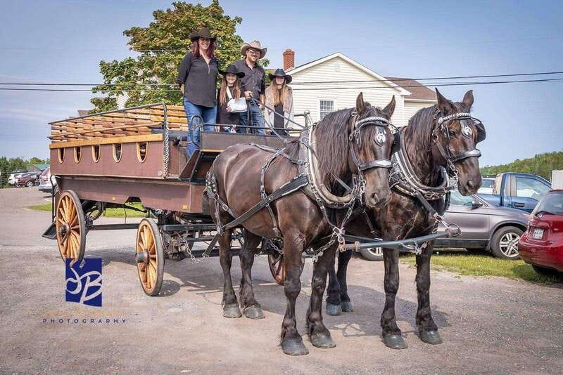 Prince Edward Island: Horse-Drawn Carriage Tour - Key points at a glance