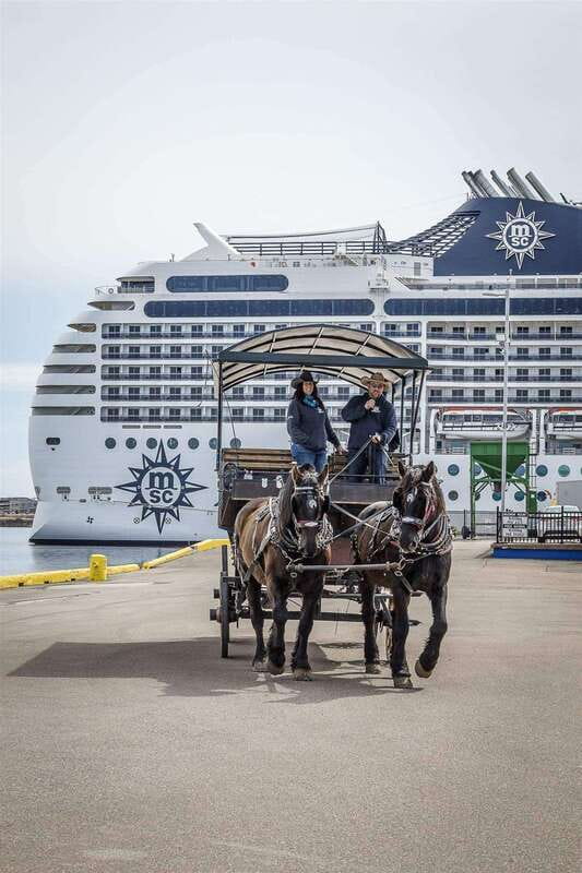 Prince Edward Island: Horse-Drawn Carriage Tour - Why a carriage is a smart way to meet Charlottetown
