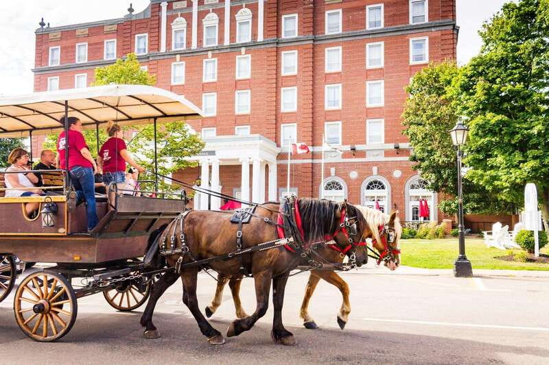 Prince Edward Island: Horse-Drawn Carriage Tour - Stories that go beyond a brochure