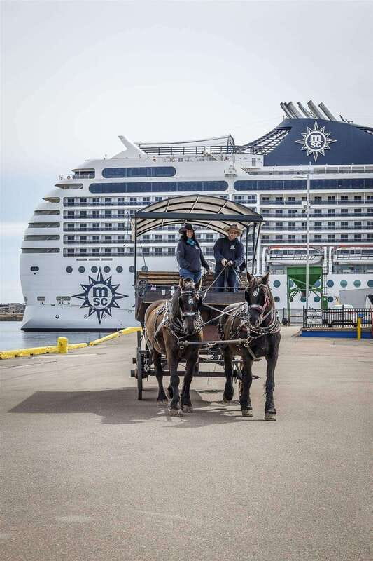 Prince Edward Island: Horse-Drawn Carriage Tour - What the 40-minute length really means