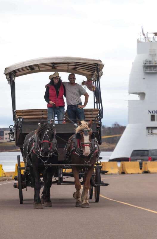 Prince Edward Island: Horse-Drawn Carriage Tour - Weather, clothing, and comfort