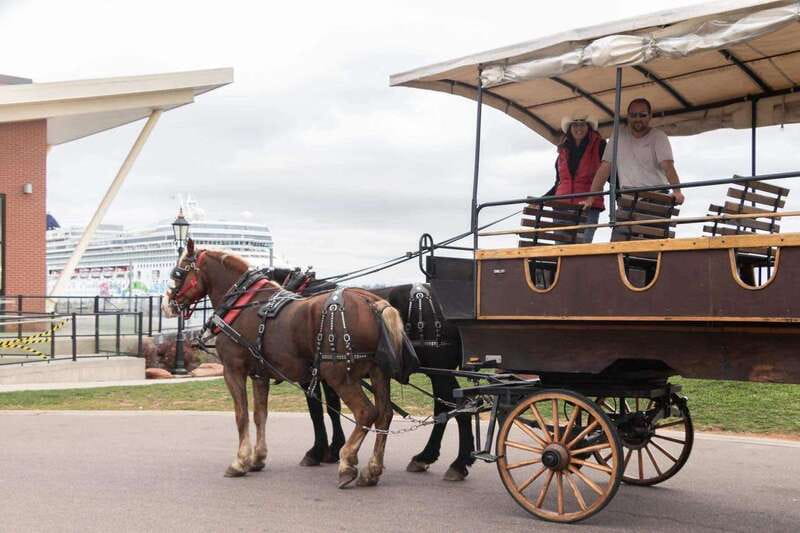 Prince Edward Island: Horse-Drawn Carriage Tour - Who will enjoy this ride most