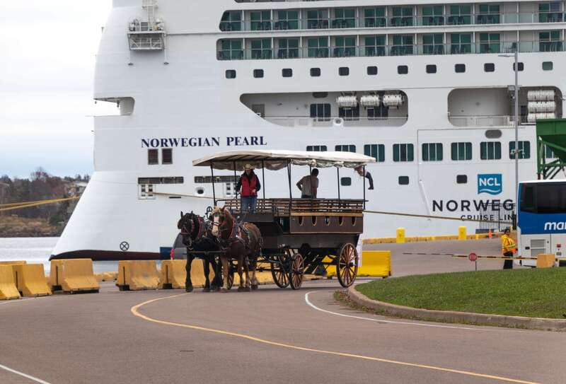 Prince Edward Island: Horse-Drawn Carriage Tour - Meeting the carriage outside Founders Hall