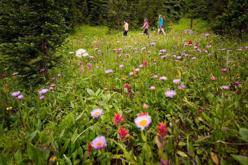 PRIVATE: Bear Country Hiking Tour - 4H Adventure - How the guide shapes the day