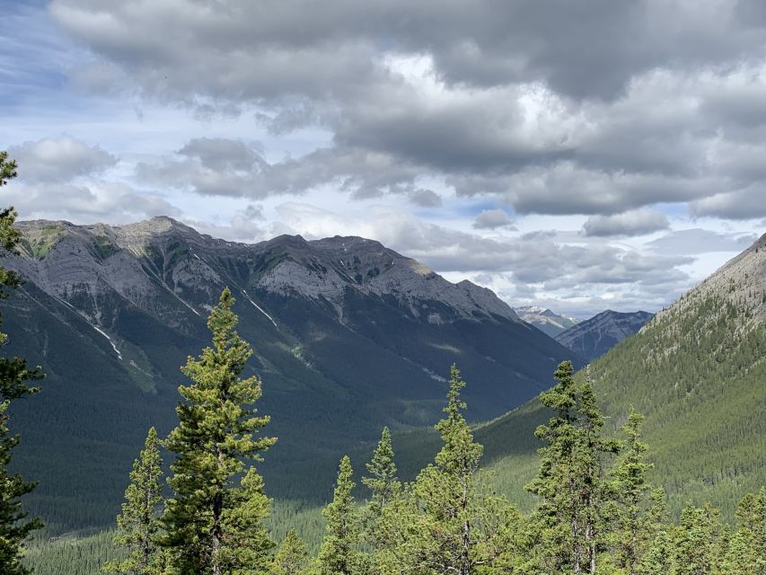 PRIVATE: Bear Country Hiking Tour - 4H Adventure - Who should book this hiking tour?