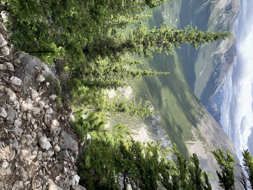 PRIVATE: Bear Country Hiking Tour - 4H Adventure - FAQ