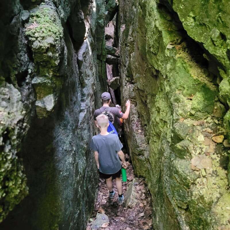 Private Nottawasaga Bluffs Caves Hike - Creemore/Collingwood - Apple trees lead into the Nottawasaga Bluffs