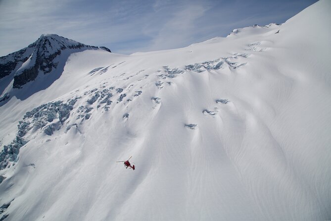 Private Whistler Helicopter Tour + Mountain Landing - Flying over Whistler Village, lakes, and the Peak 2 Peak