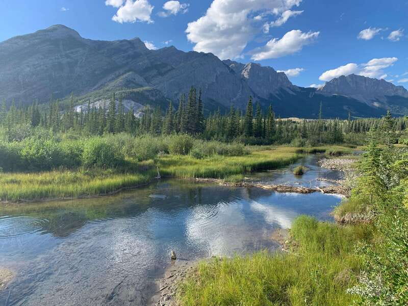 PRIVATE Wilderness and Wildlife Walking Tour - 3hrs - Leaving Canmore for a quieter side of the Rockies