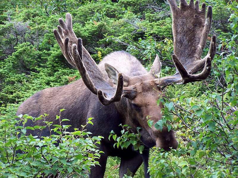 PRIVATE Wilderness and Wildlife Walking Tour - 3hrs - Should you book this private wilderness walk?