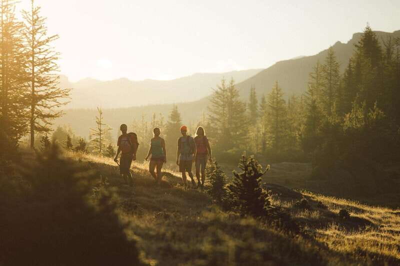 PRIVATE Wilderness and Wildlife Walking Tour - 3hrs - Bear safety without turning the walk into a scare show