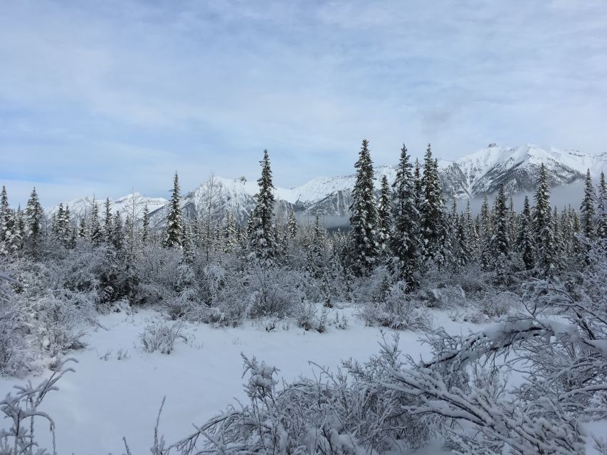 PRIVATE Wilderness and Wildlife Walking Tour - 3hrs - What you might actually see