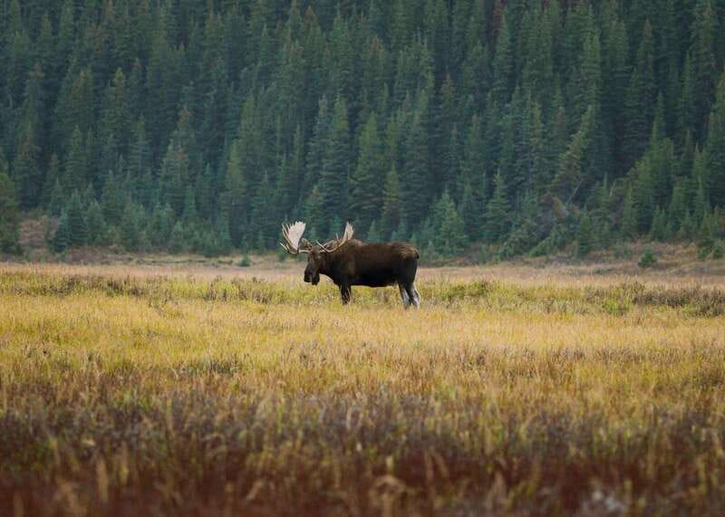 PRIVATE Wilderness and Wildlife Walking Tour - 3hrs - Small practical details that make the day easier