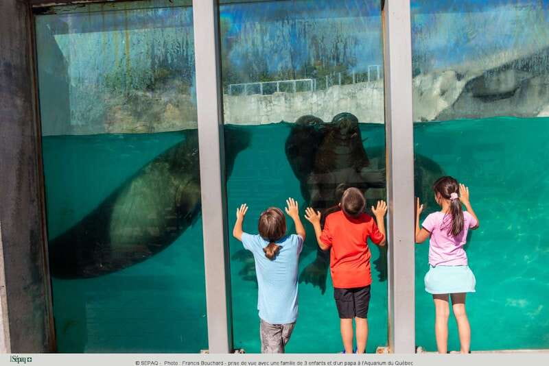 Quebec: Aquarium du Quebec Entry Ticket - Key points to know
