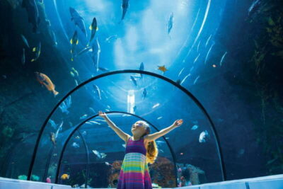 Aquarium du Quebec Entry Ticket