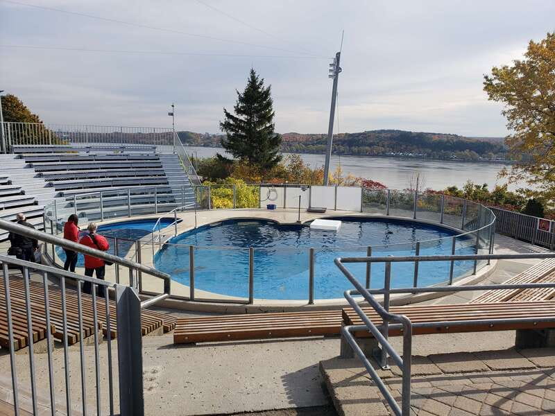 Quebec: Aquarium du Quebec Entry Ticket - How long to stay and how to plan the route