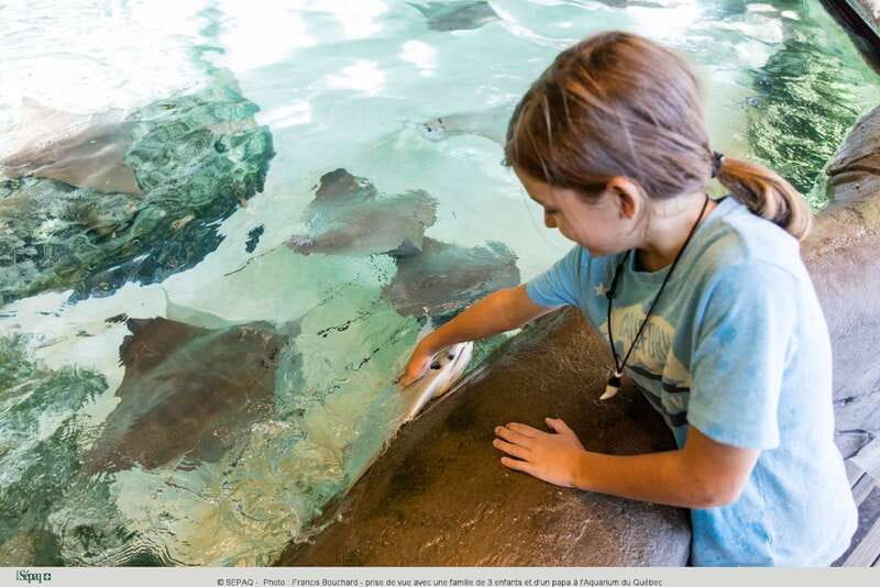 Quebec: Aquarium du Quebec Entry Ticket - Parking, the weekend shuttle, and access