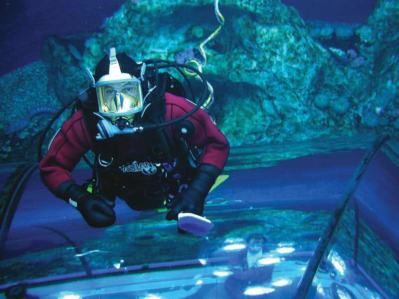 Quebec: Aquarium du Quebec Entry Ticket - Food, facilities, and the family factor