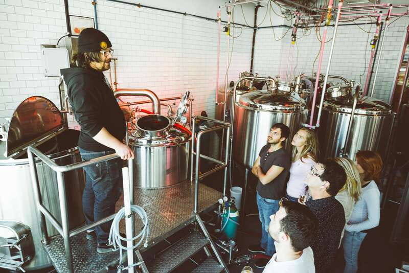 Quebec City: Craft Brewery and Beer Tasting Tour - Starting with Noctem’s cats and creative beers