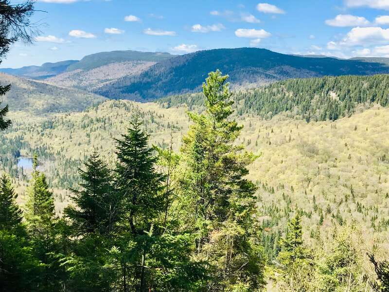 Quebec City: Guided Hike in Jacques-Cartier National Park - What the group size and languages mean in practice