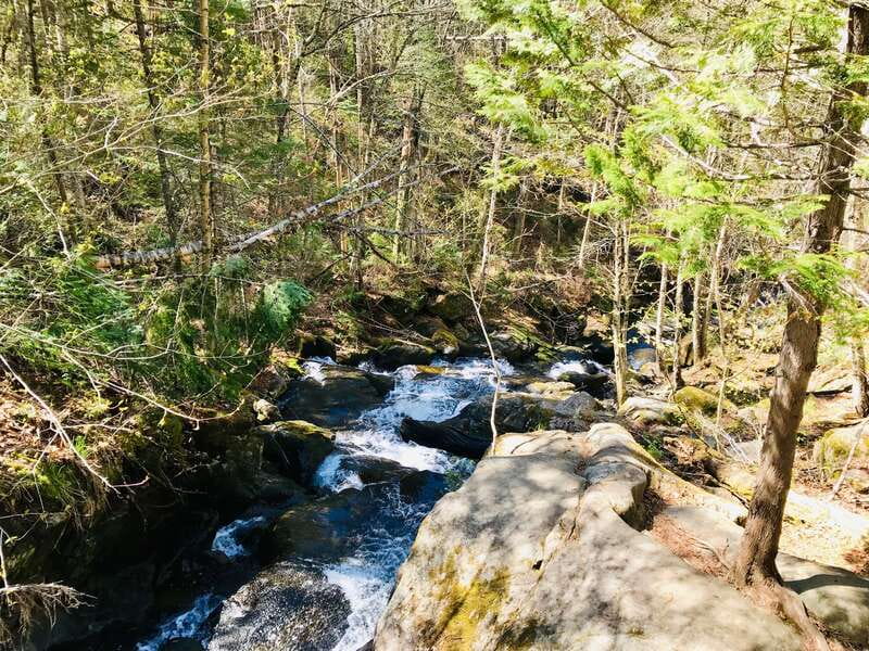 Quebec City: Guided Hike in Jacques-Cartier National Park - Weather, clothing, and physical demands