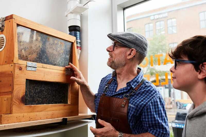Quebec City: Honey and Distillery Tour with Tasting - Useful planning details in Saint-Roch