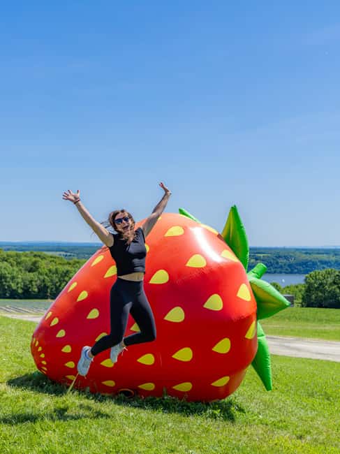 Quebec City: Ile d'Orléans Guided E-Bike Tour with Tastings - The important road-safety tradeoff