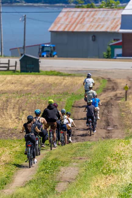 Quebec City: Ile d'Orléans Guided E-Bike Tour with Tastings - The vineyard and a slower taste of Île d’Orléans