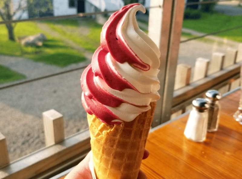 Quebec City: Island of Orléans Taste Trail - Starting near Château Frontenac