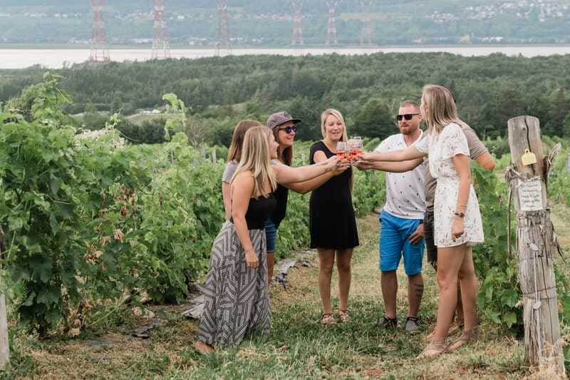 Quebec City: Island of Orleans Wine Tour - What the tasting includes