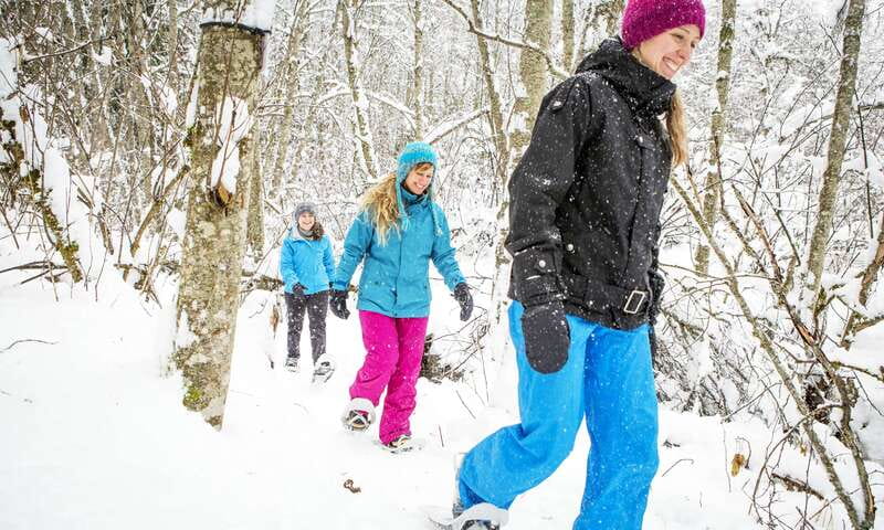 Quebec City: Jacques-Cartier National Park Snowshoeing Tour - Key points at a glance