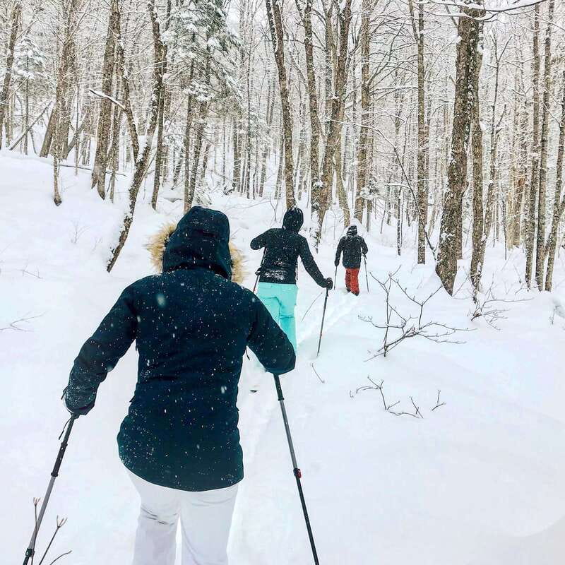 Quebec City: Jacques-Cartier National Park Snowshoeing Tour - Who should book this snowshoeing day?